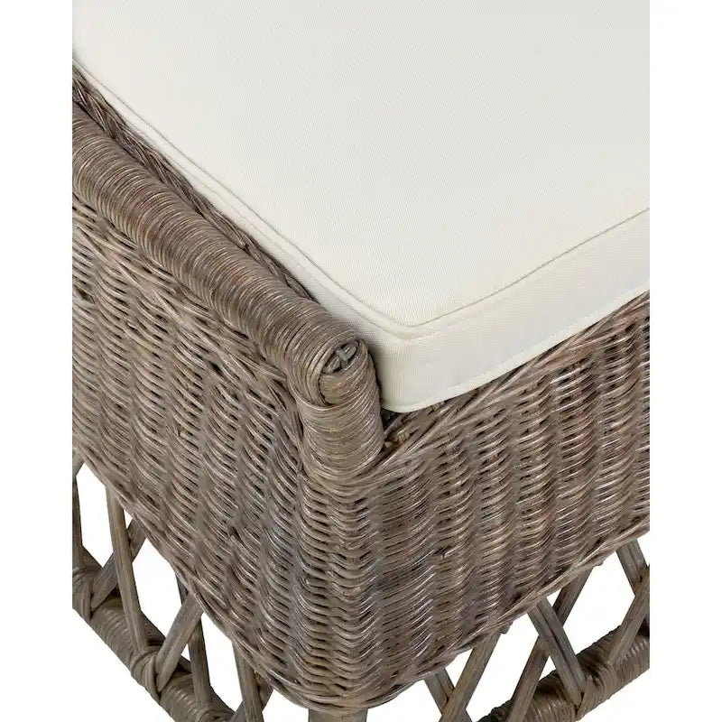Sedia da pranzo d'accento con cuscino in rattan naturale di